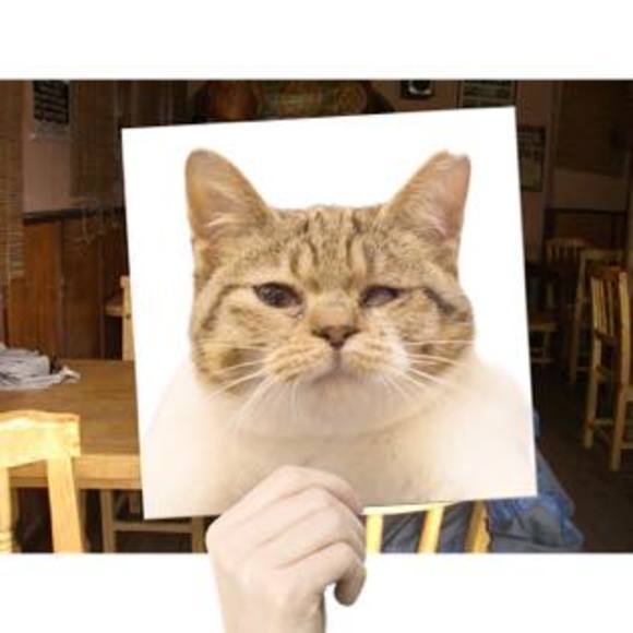 Meet your Posher, Hiromi - Picture 1 of 1